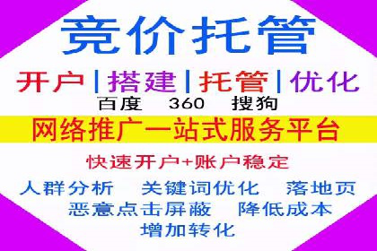 行业报告：专业SEM托管的成功实践与挑战